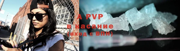 ПСИЛОЦИБИНОВЫЕ ГРИБЫ Вязники