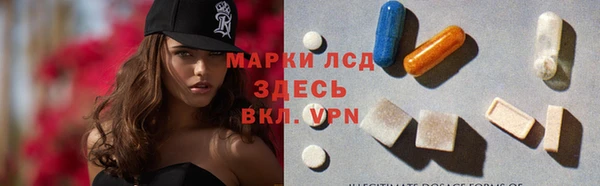 ПСИЛОЦИБИНОВЫЕ ГРИБЫ Вязники