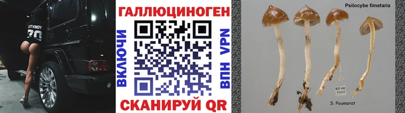Псилоцибиновые грибы Magic Shrooms  ссылка на мегу   Закаменск 